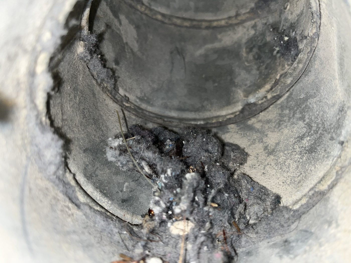 Lint buildup in dryer vent
